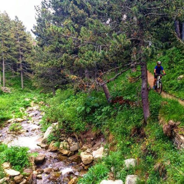 La Pradella Bolquere Pyrenees 2000 Daire Dış mekan fotoğraf