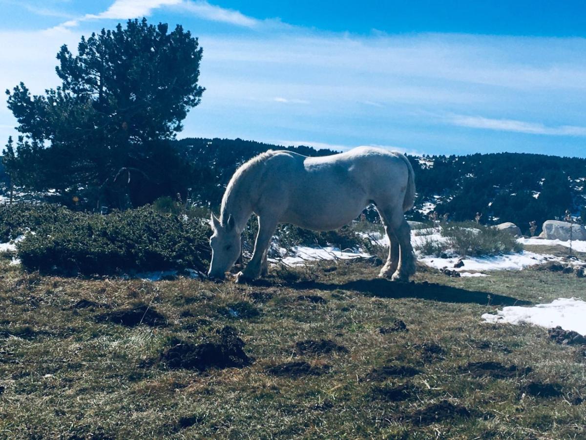 La Pradella Bolquere Pyrenees 2000 Daire Dış mekan fotoğraf