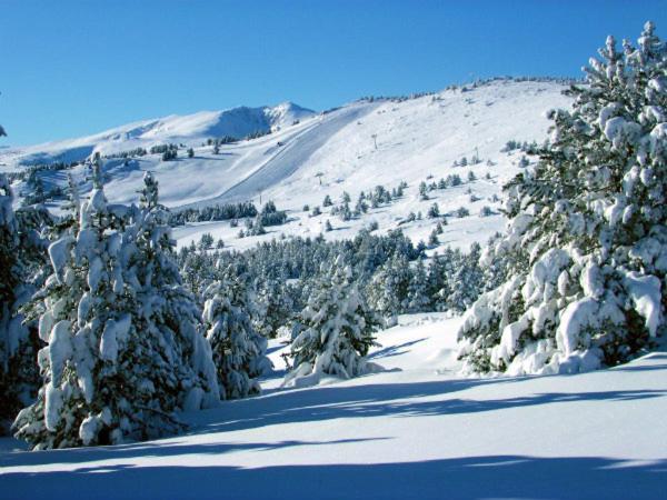 La Pradella Bolquere Pyrenees 2000 Daire Dış mekan fotoğraf