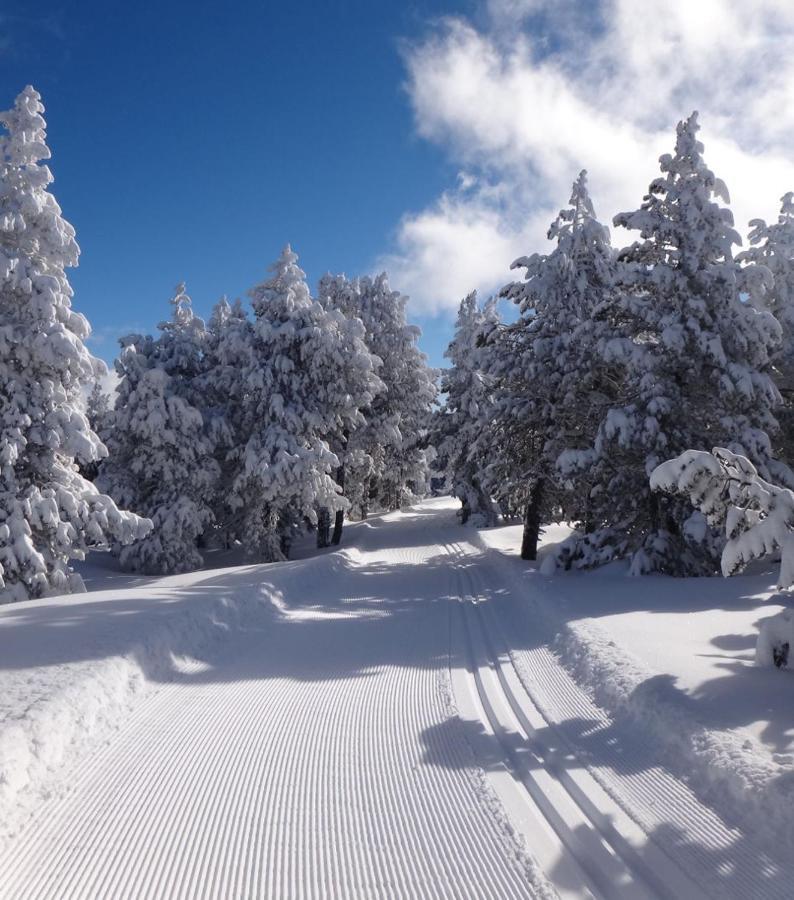 La Pradella Bolquere Pyrenees 2000 Daire Dış mekan fotoğraf